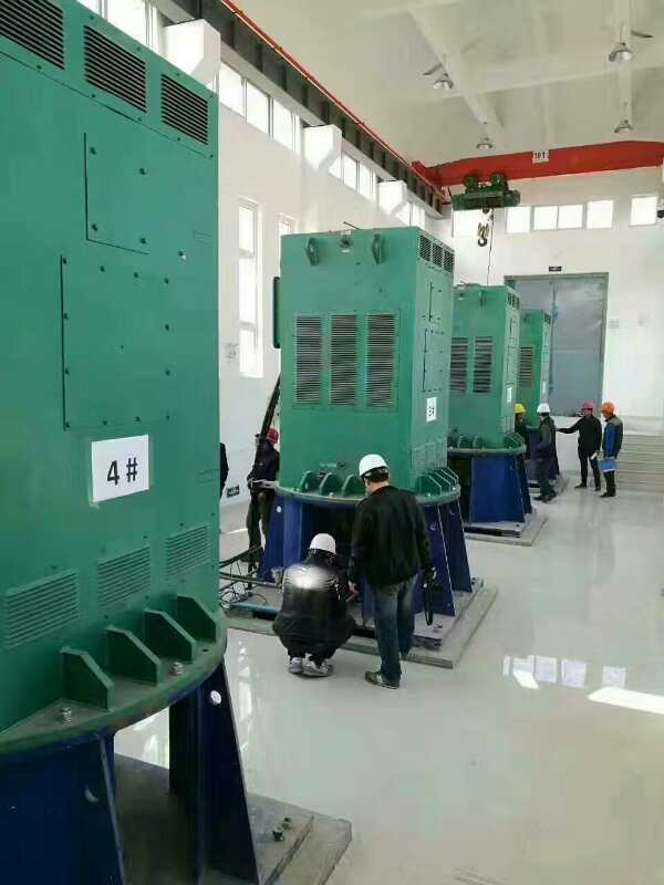 丹巴某污水处理厂使用我厂的立式高压电机安装现场哪家好