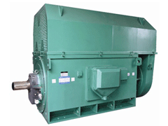 丹巴Y系列6KV高压电机